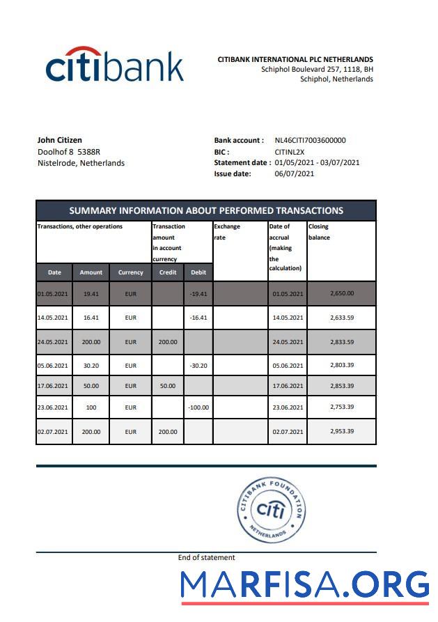 Downloadable Netherlands Citibank statement excel real example